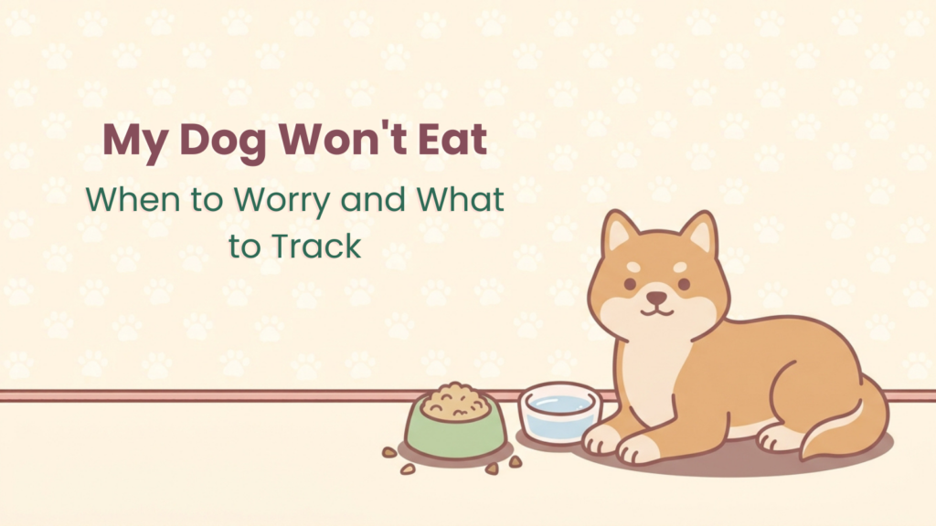 My Dog Won’t Eat — When to Worry and What to Track