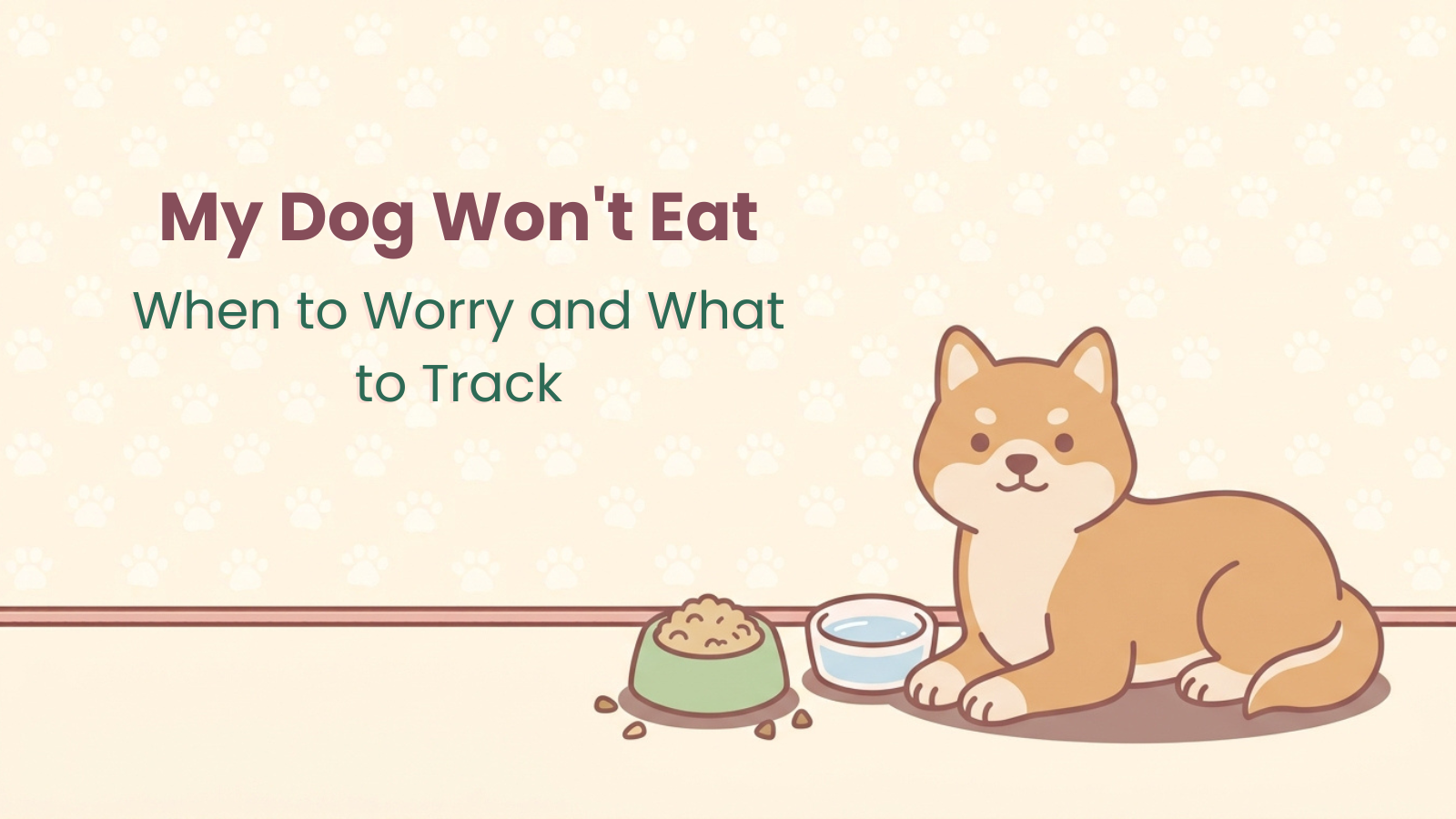 Dog sitting next to an untouched food bowl, illustration for the my dog won't eat guide