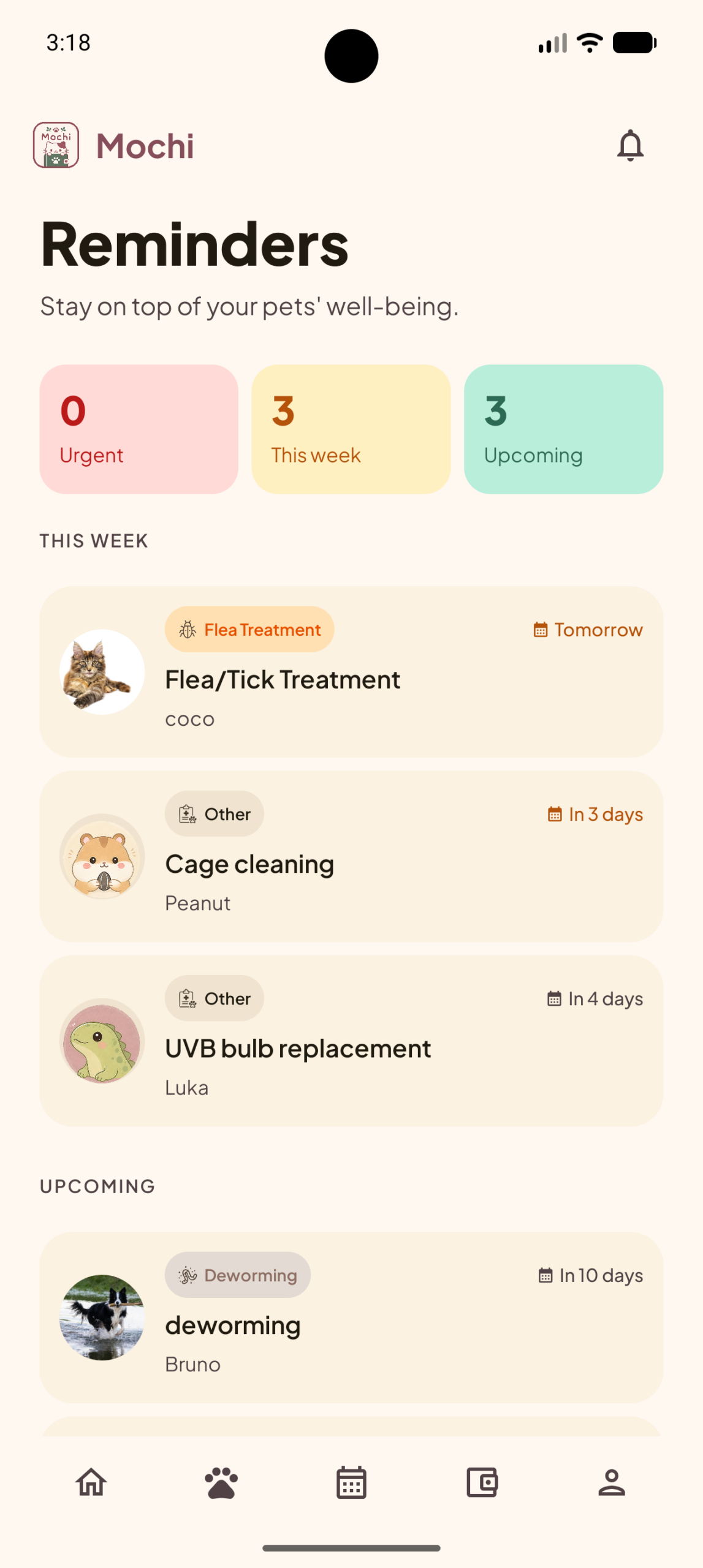 Reptile UVB bulb replacement reminder in the Mochi app